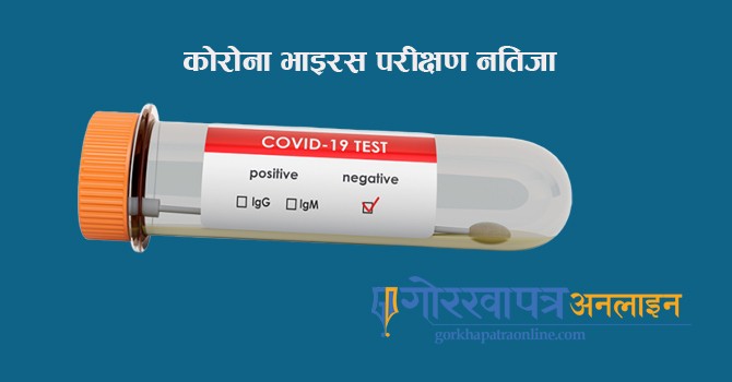 सुदूरपश्चिममा २० देखि ३० वर्ष उमेरका बढी सङ्क्रमित